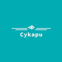 Cykapu Coupon Codes