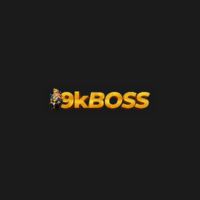 9KBoss Coupon Codes